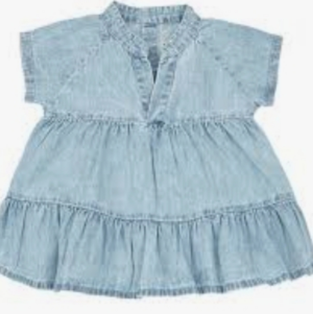 One Plus In The Family Denim Dress